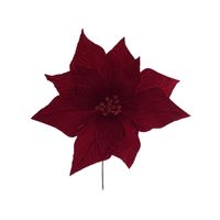 Poinsetia 11P 35 x 30 cm Rojo