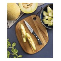 CUCHILLO PARA LEGUMBRES Y FRUTAS SOLUTTA TRAMONTINA 4 PULGADAS ACERO INOXIDABLE