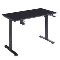 Escritorio Ajustable Electrico FlowDesk - 1 Motor / Negro