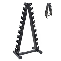 Rack Estante Porta Mancuernas Pesas 10 Niveles Resistente