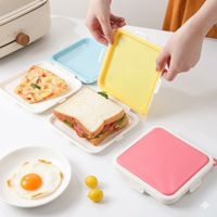 Caja para Sandwich – Hermética y Práctica