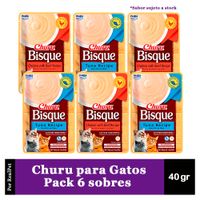 Snack Sopa para Gato Churu Bisque Variados 6 Sobres 40 gr