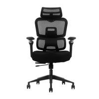 Silla de Oficina Ergonómica Profesional Ultimate Evox C19