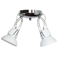 Lámpara De Techo Genova 2 Luces