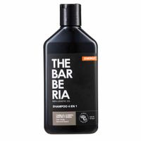 Shampoo THE BARBERIA 4 en 1 Force Energy 300ml