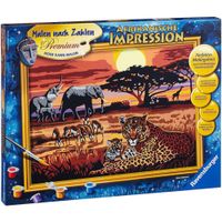 Lienzo Pinta Números Deluxe África