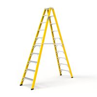Escalera tijera doble Asc 10 pasos