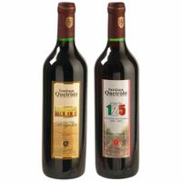 Vino SANTIAGO QUEIROLO Borgoña Barbera y Borgoña Botella 750ml