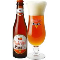 CERVEZA BUSH PECHE MEL 330 ML