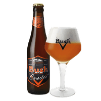 CERVEZA BUSH CARACTERE 330 ML