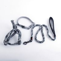 Pack de collar, correa y arnes - Diseño Cebra