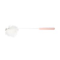 Juguete de caña de pescar para gatos Blanco