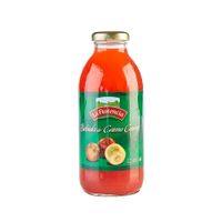 Bebida de Camu Camu LA FLORENCIA Botella 480ml