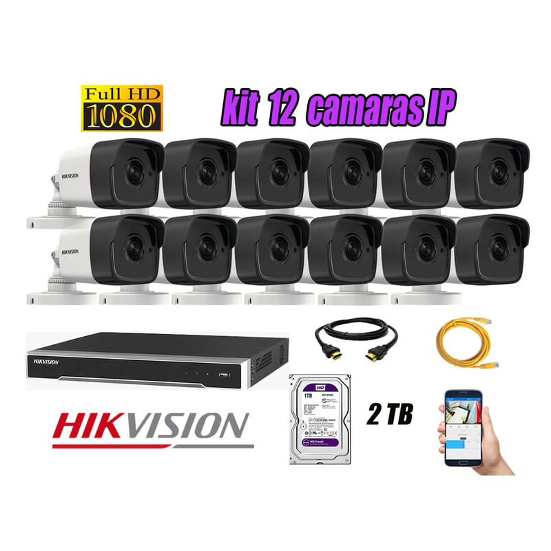 Kit 12 Cámaras de Seguridad Ip Poe Exterior Hikvision mas Disco 2Tb Wd Púrpura