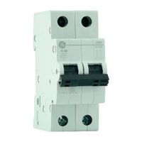 Interruptor termomagnético 2x63a Rd