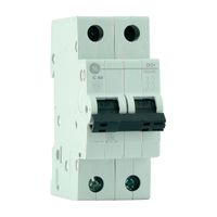 Interruptor termomagnético 2x50a Rd